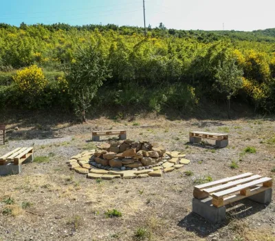 peradzeebis-marani-o-peradze-wine-cellar 3