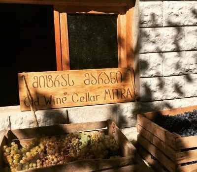 winecellar-mitra-o-mitras-marani 1