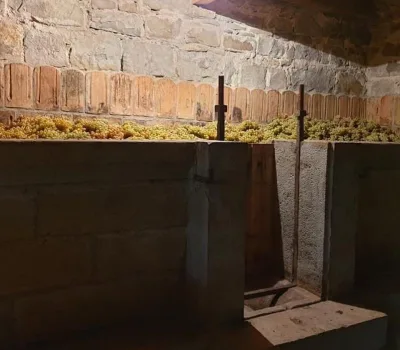 winecellar-mitra-o-mitras-marani 8