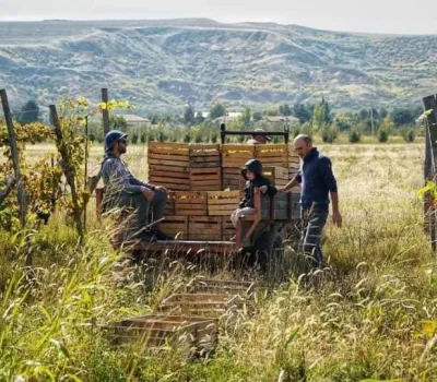 td-winery-o-tengo-dvalishvilis-marani 14